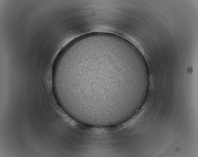 X0000101700931200807241428