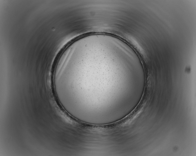 X0000101700932200807241428