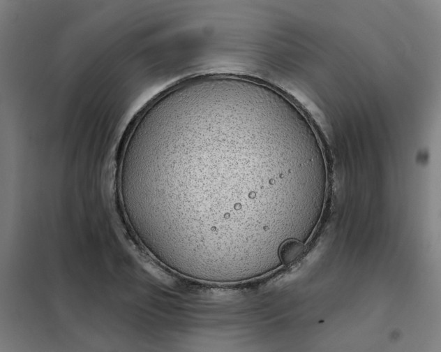 X0000101700933200807241428