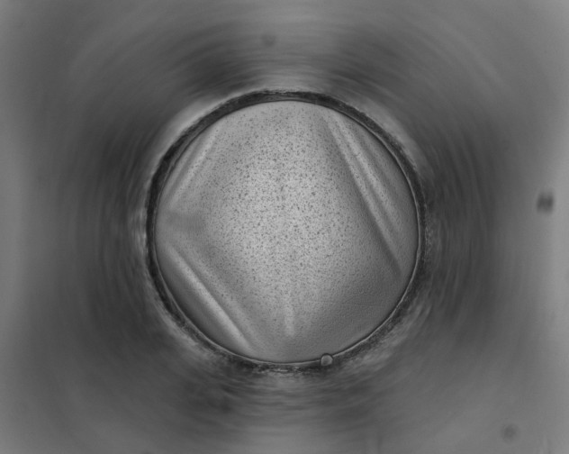 X0000101700935200807241428