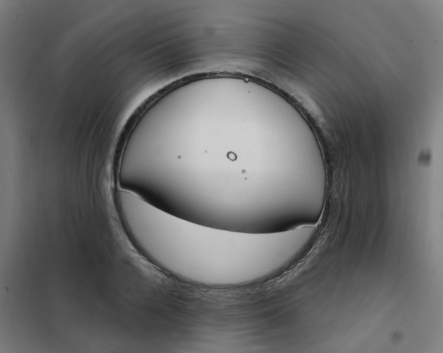 X0000101700936200807241428