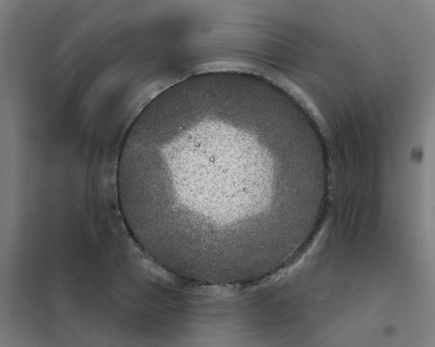 X0000101700937200807241428