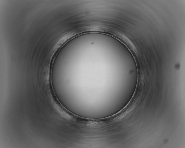 X0000101700938200807241428