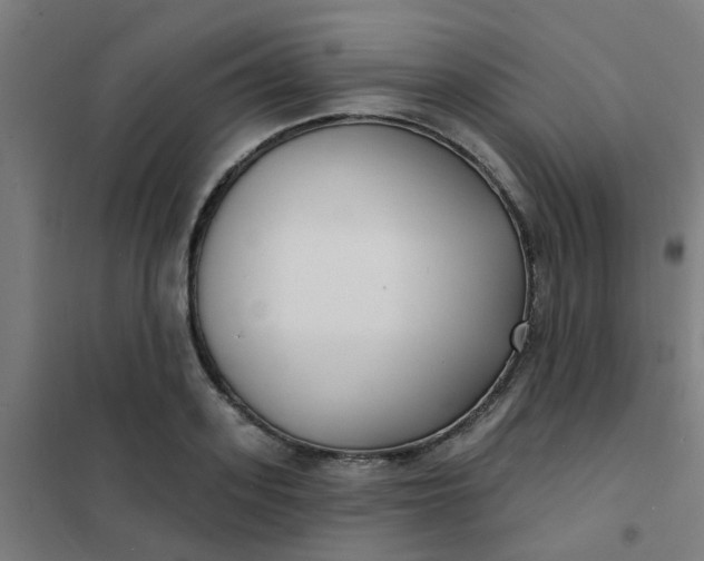 X0000101700939200807241428