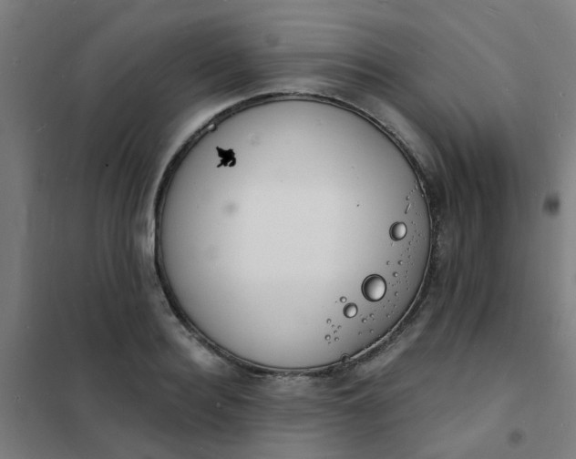 X0000101700940200807241428