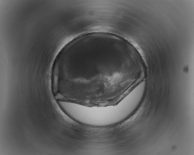 X0000101700941200807241428