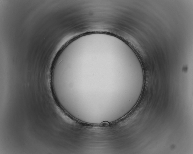 X0000101700942200807241428