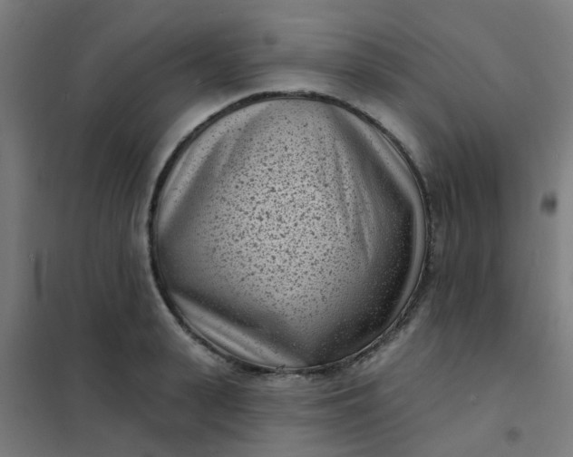 X0000101700943200807241428