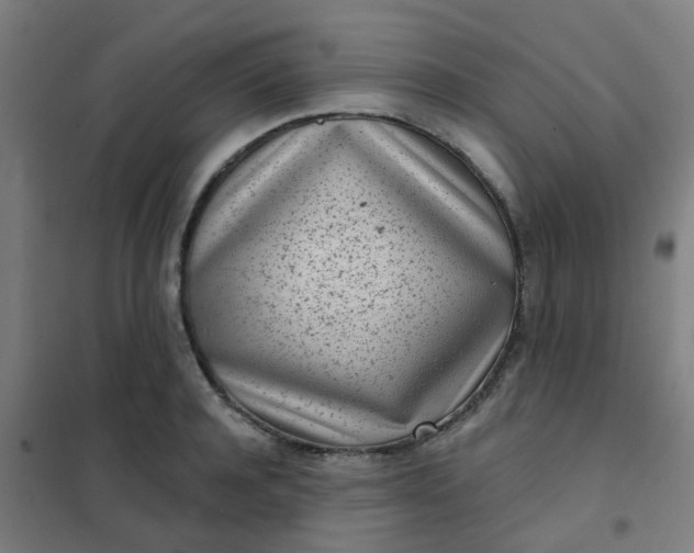 X0000101700944200807241429