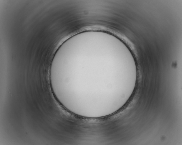 X0000101700945200807241429