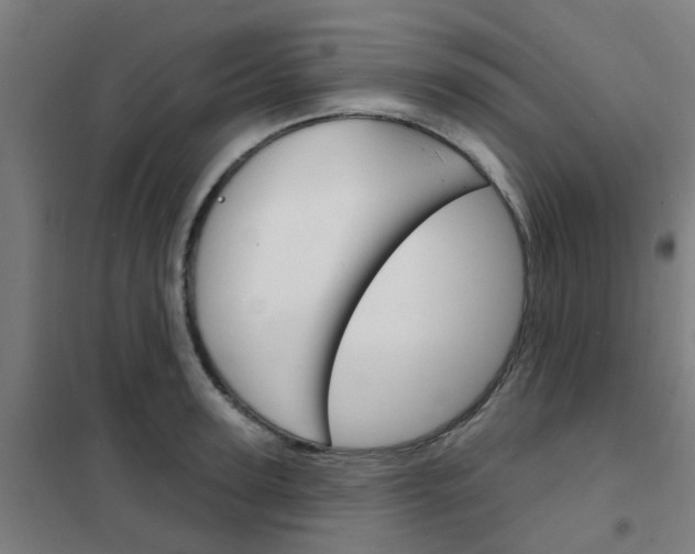 X0000101700947200807241429