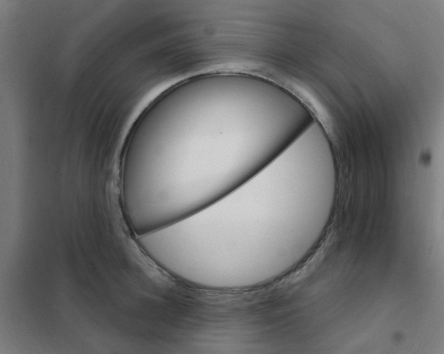 X0000101700948200807241429