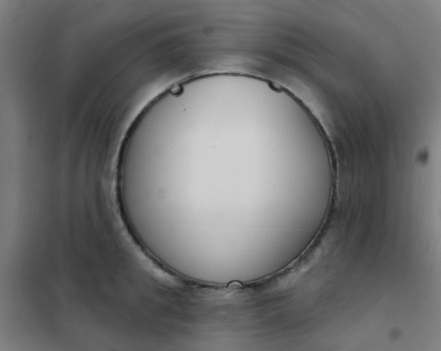 X0000101700949200807241429