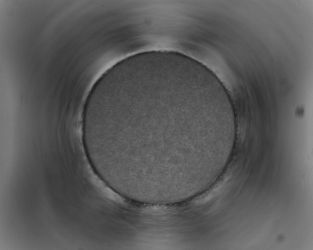 X0000101700950200807241429