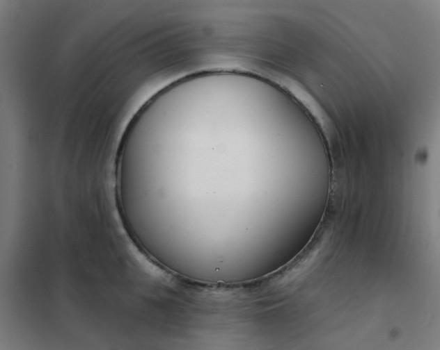 X0000101700951200807241429