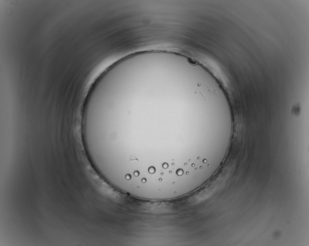 X0000101700952200807241429