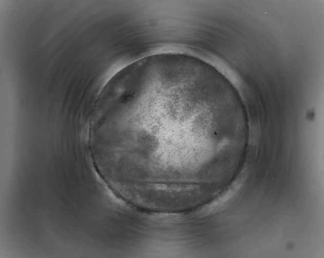 X0000101700953200807241429