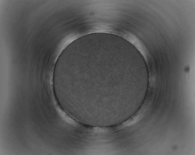 X0000101700954200807241429