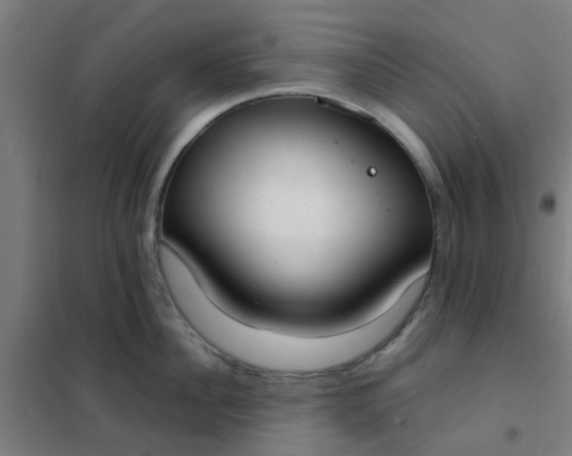 X0000101700956200807241429