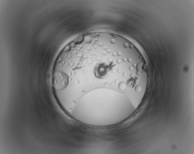 X0000101700957200807241429