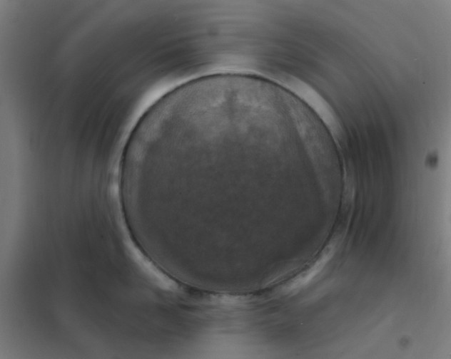 X0000101700958200807241429