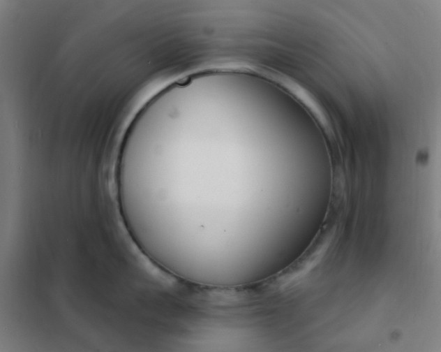 X0000101700959200807241429