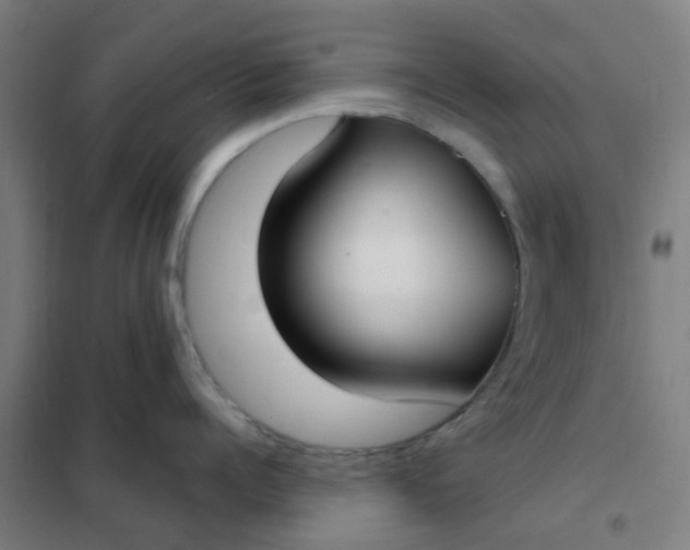 X0000101700960200807241429