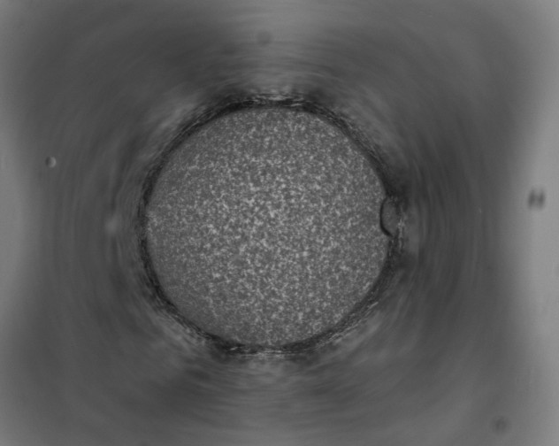 X0000101700961200807241428