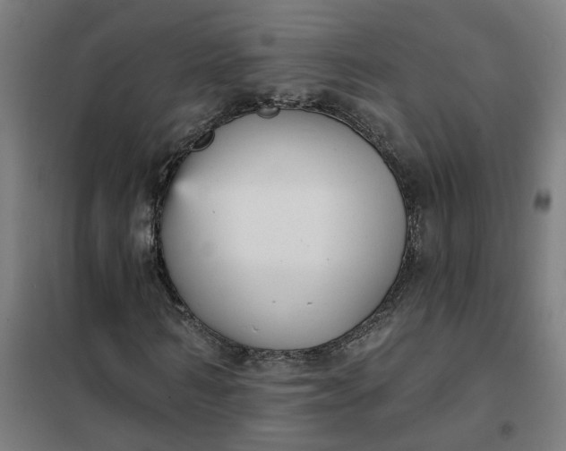 X0000101700962200807241428