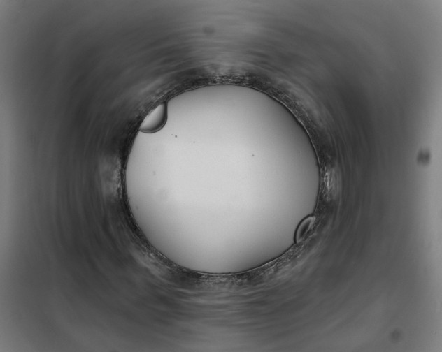 X0000101700963200807241428