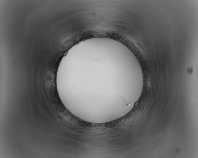 X0000101700964200807241428