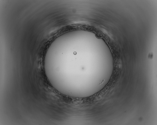 X0000101700965200807241428