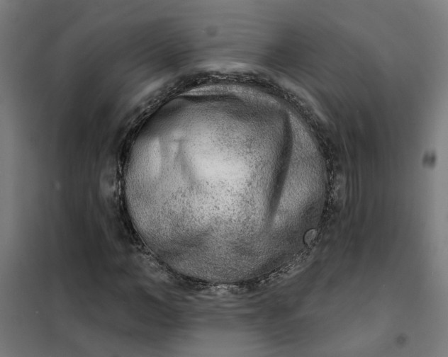 X0000101700966200807241428