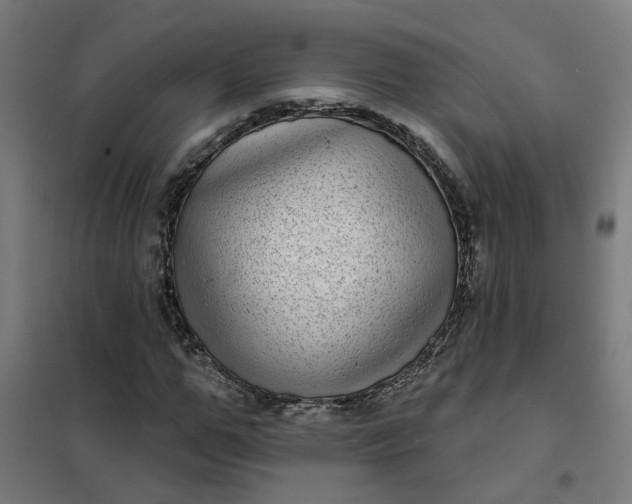 X0000101700967200807241428