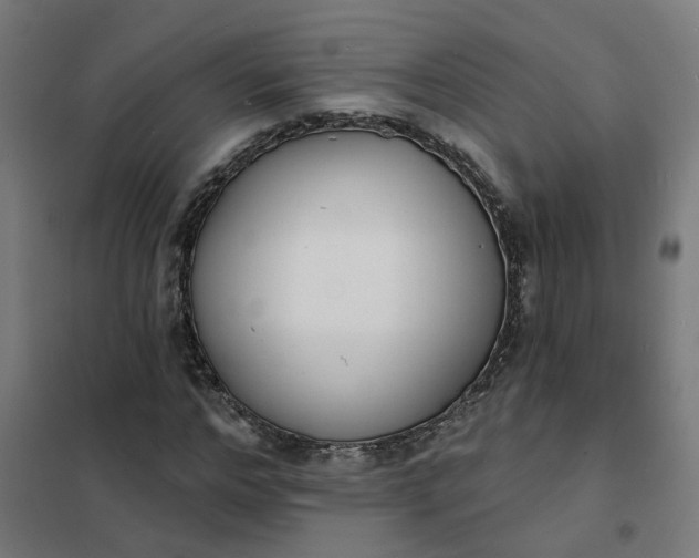 X0000101700968200807241428