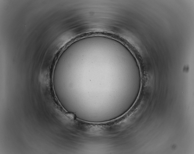 X0000101700969200807241428