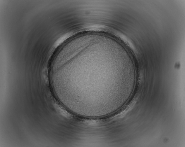 X0000101700970200807241428