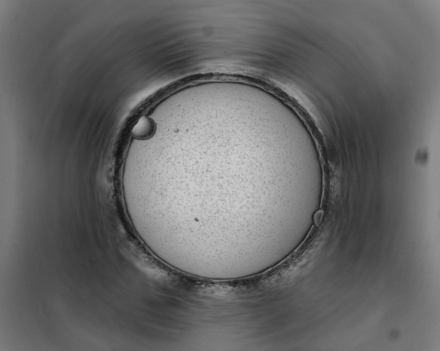 X0000101700971200807241428