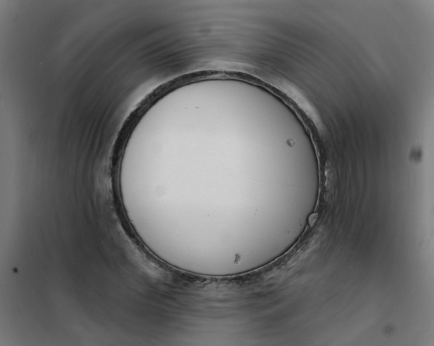 X0000101700972200807241428