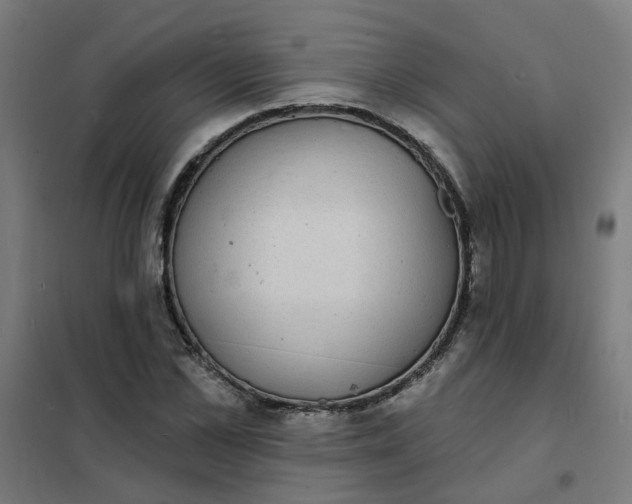 X0000101700973200807241428