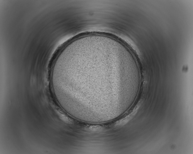 X0000101700974200807241428