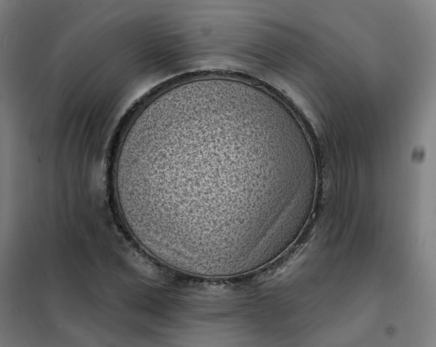 X0000101700975200807241428