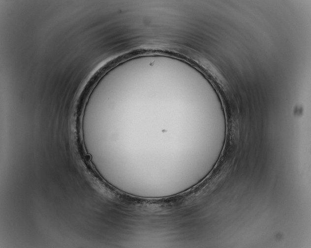 X0000101700976200807241428