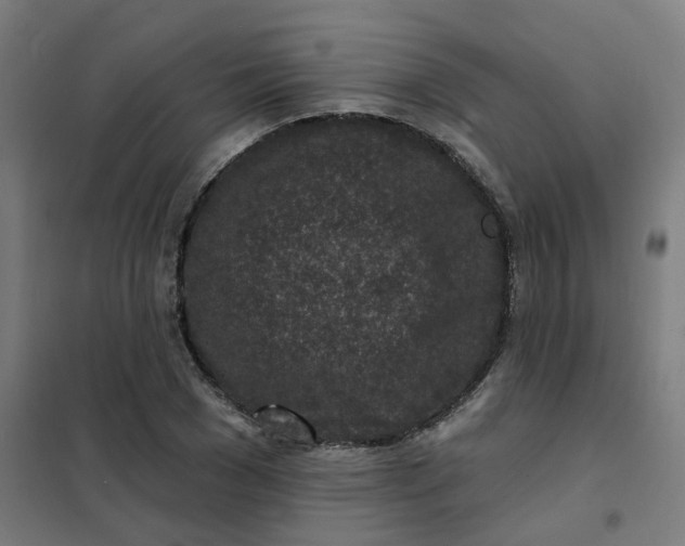 X0000101700977200807241428