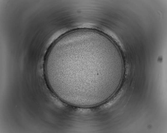 X0000101700978200807241428