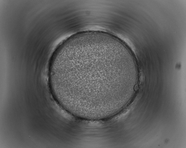 X0000101700979200807241428