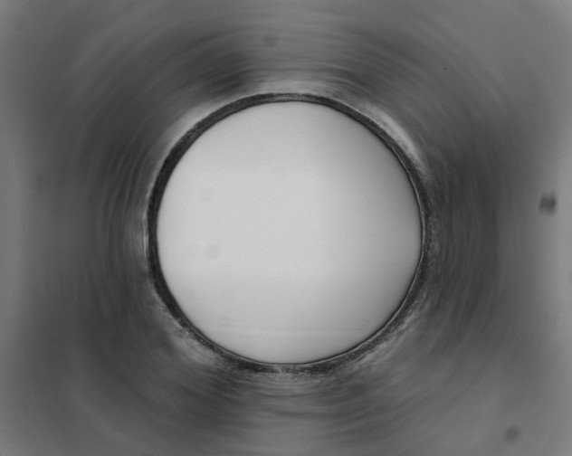 X0000101700980200807241428