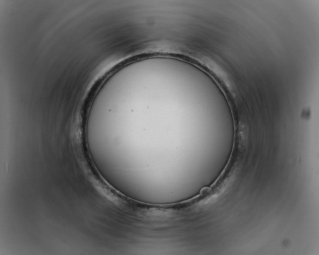 X0000101700981200807241428