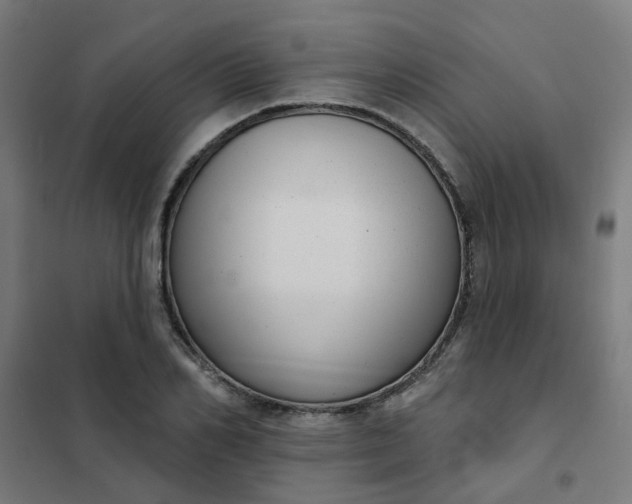 X0000101700982200807241428