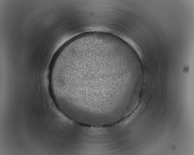 X0000101700983200807241428